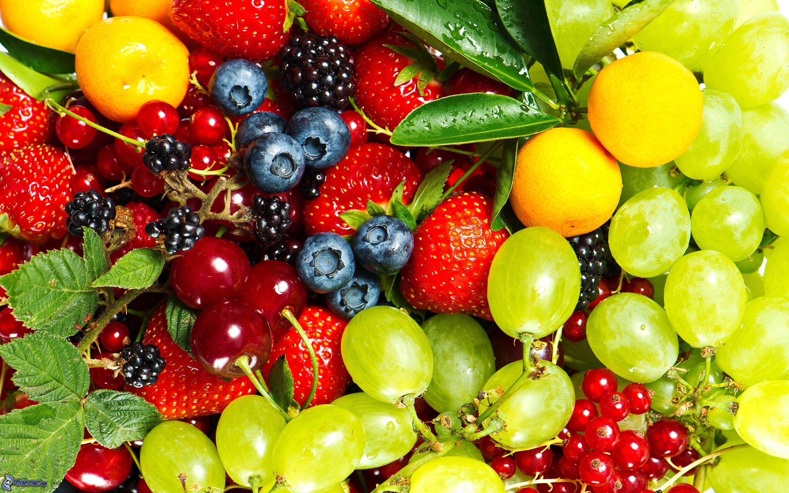 frutta